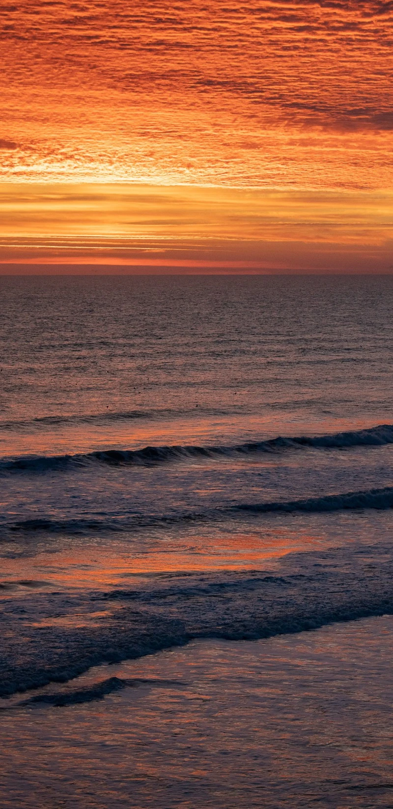 Fiery Sunset over the Ocean 4K Mobile Wallpaper