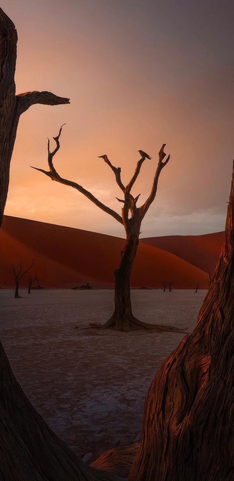 Deadvlei Sunrise 4K Mobile Wallpaper