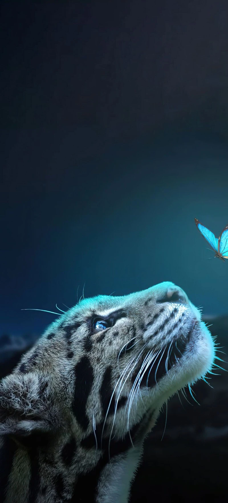 Clouded Leopard and Butterfly 4K Mobile Wallpaper