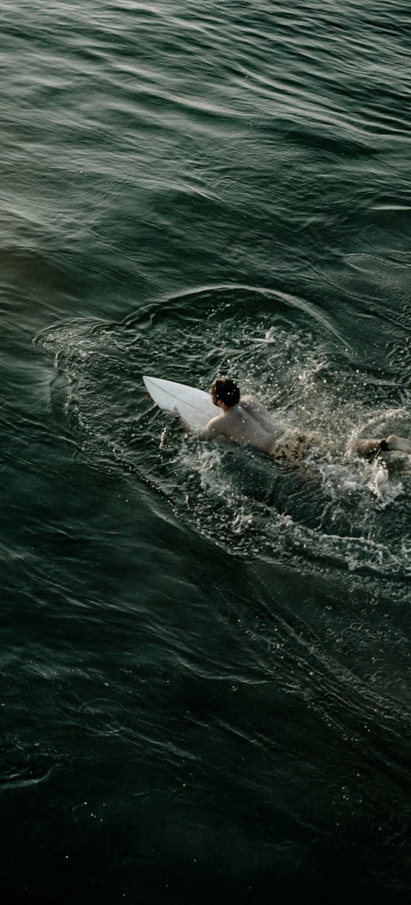 Surfer Paddling in Dark Ocean Water 4K Mobile Wallpaper