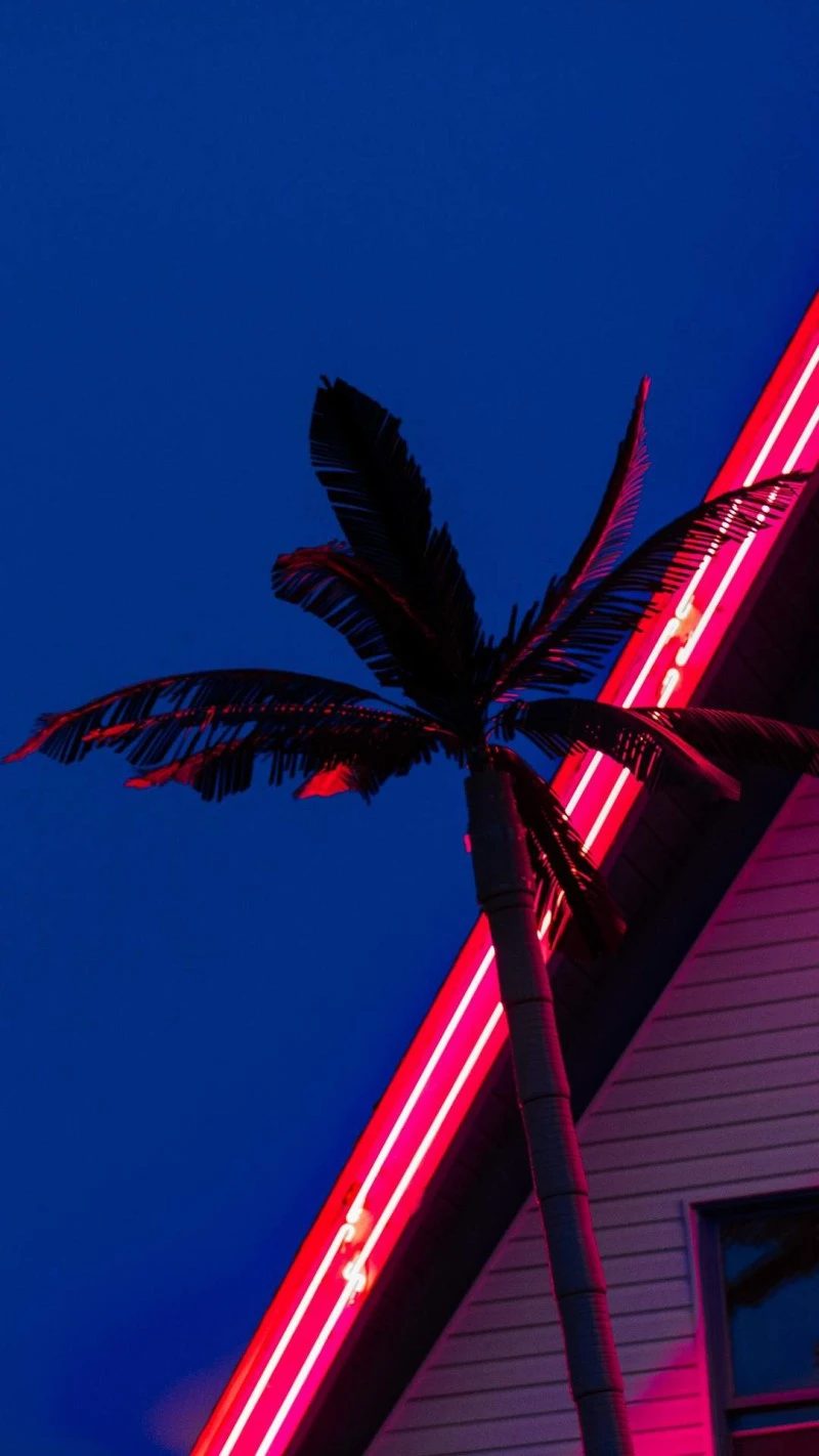 Neon Palm Tree 4K Mobile Wallpaper