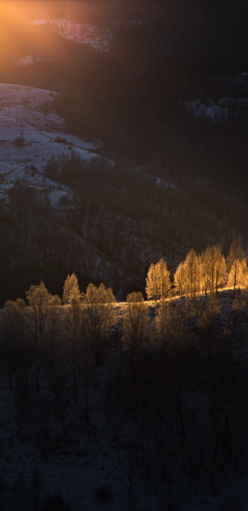 Golden Hour in the Snow 4K Mobile Wallpaper