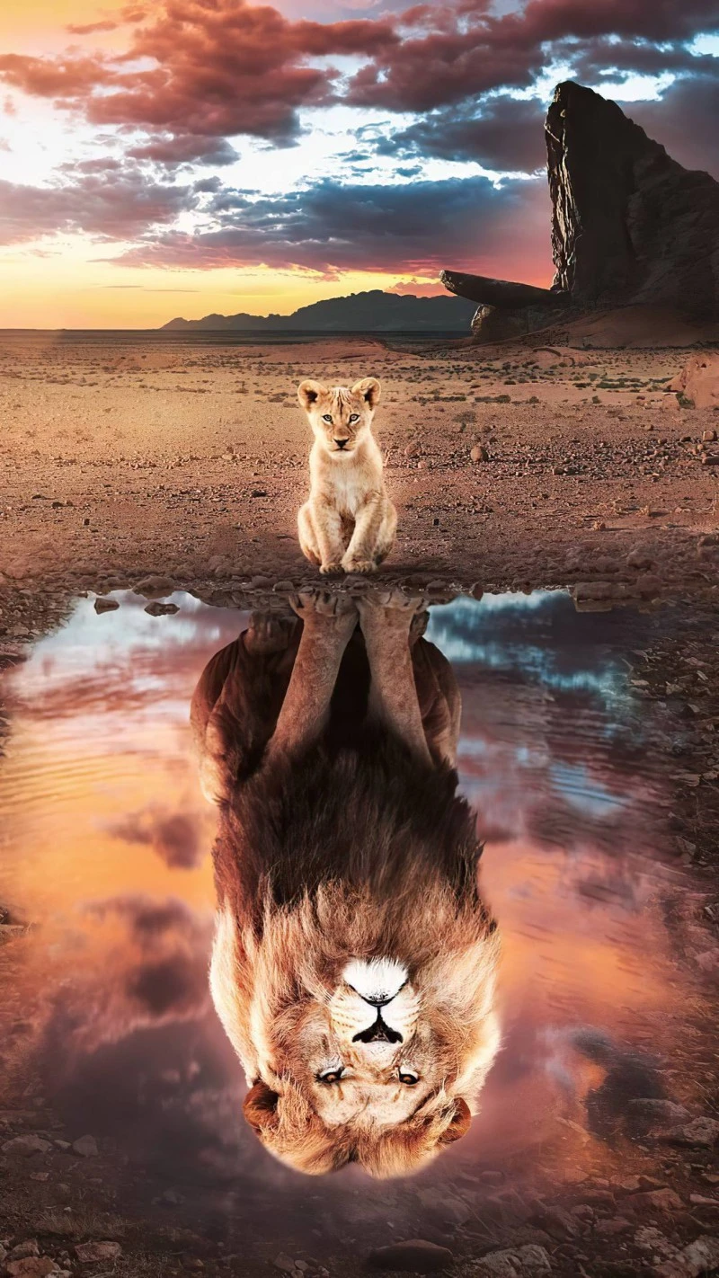 Lion Reflection 4K Mobile Wallpaper