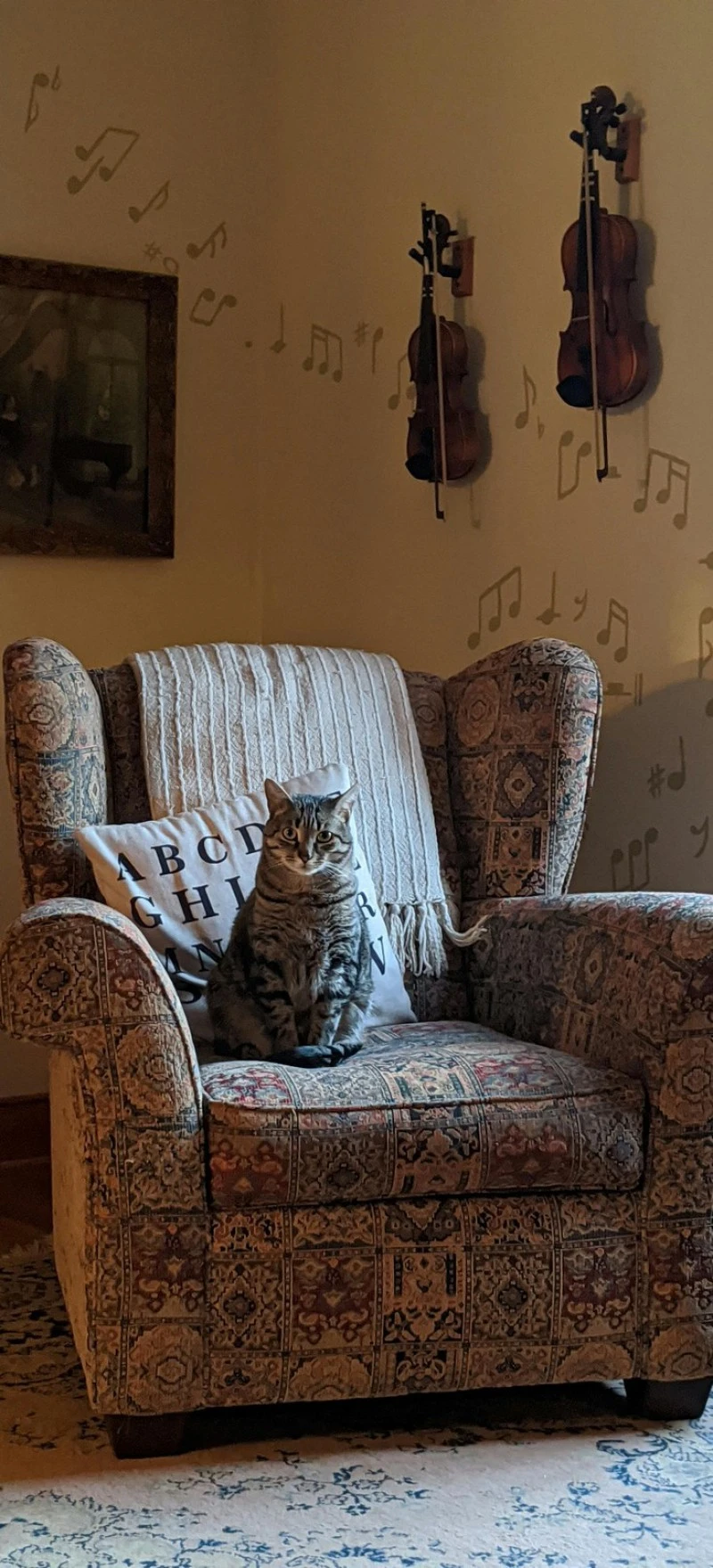 Cat in a Musical Setting 4K Mobile Wallpaper