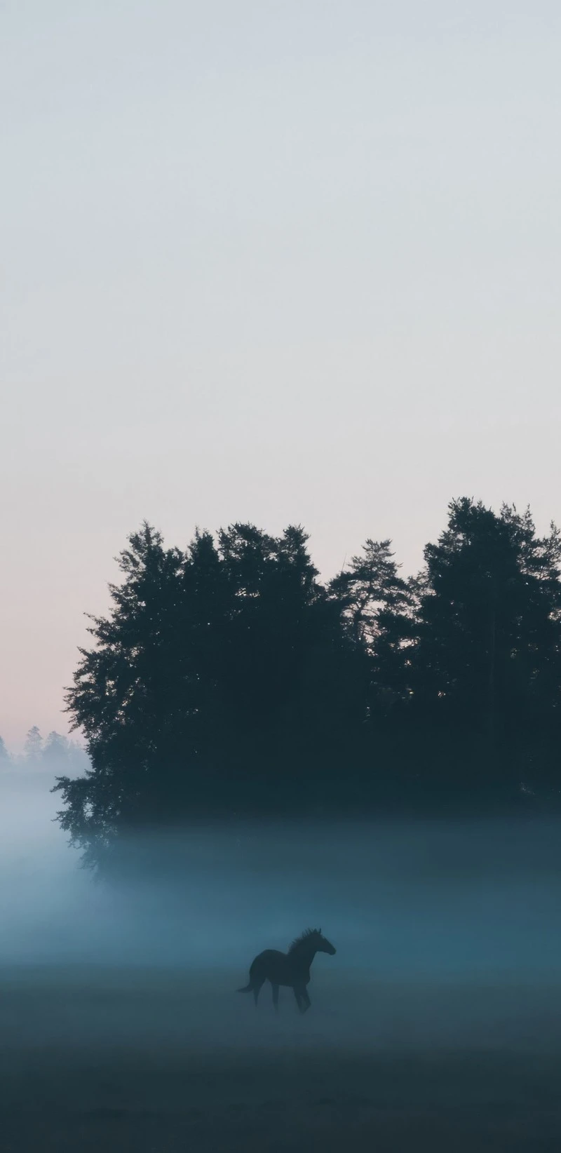 Silhouetted Horse in Misty Field 4K Mobile Wallpaper