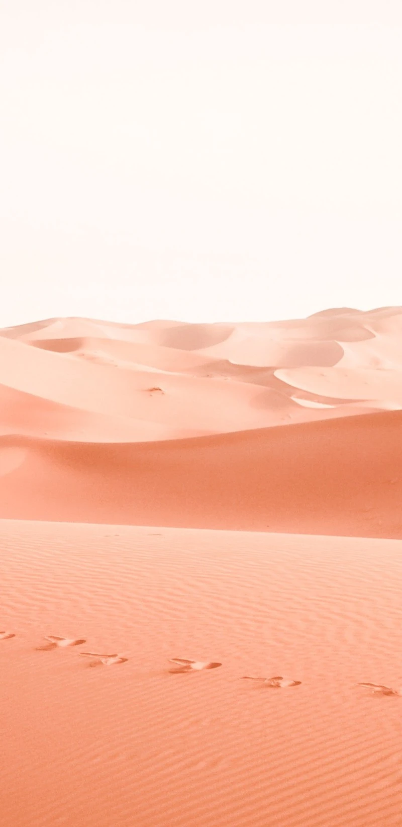 Footprints in the Coral Desert 4K Mobile Wallpaper
