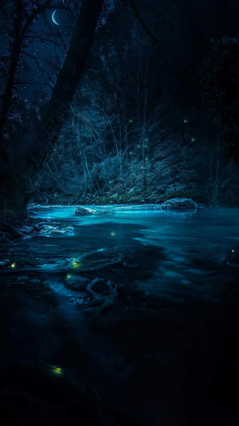 Enchanted Forest River 4K Mobile Wallpaper