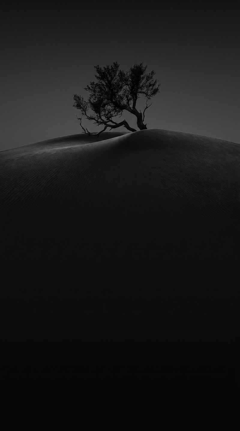 Dark Monochrome Tree on Sand Dune Smartphone Wallpaper Background 4K Oc Wallpaper