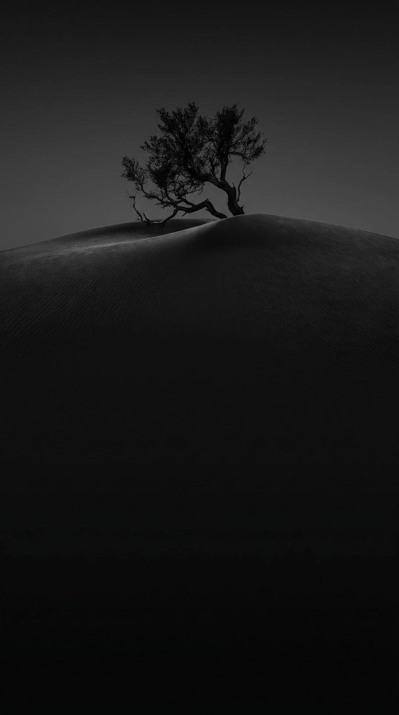 Dark Monochrome Tree on Sand Dune Smartphone Wallpaper Background 4K Mobile Wallpaper