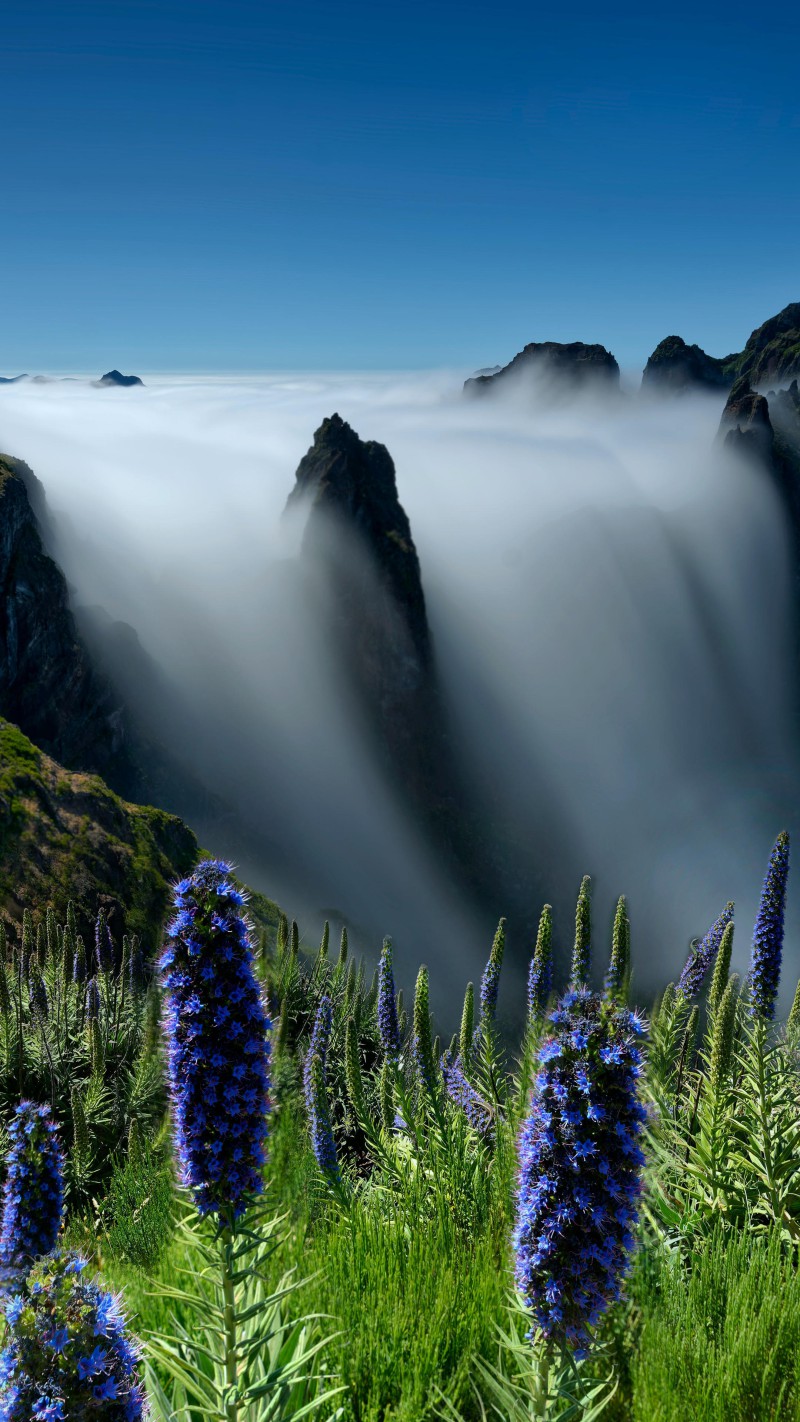 4K mobile wallpaper Misty Mountain Landscape - high resolution for Android and iPhone