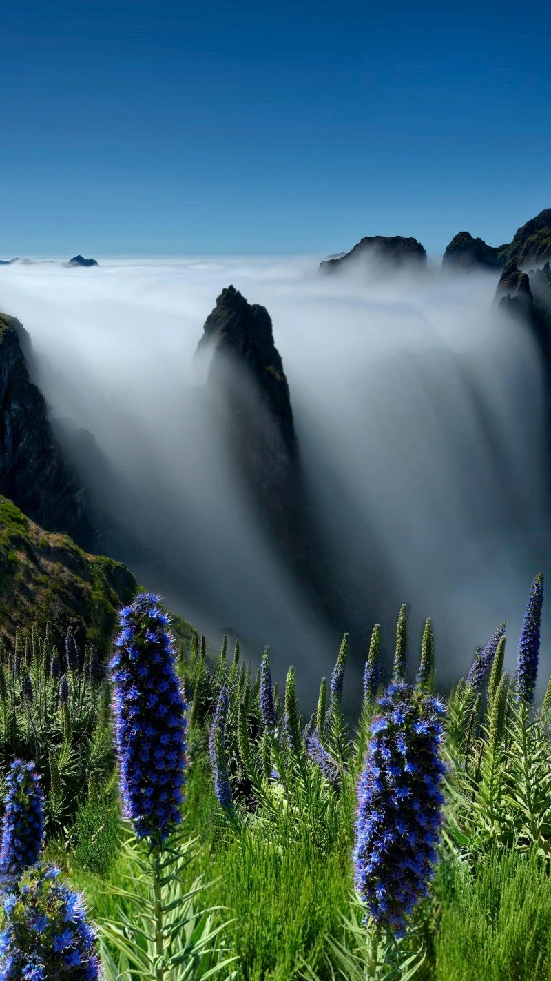 Misty Mountain Landscape 4K Mobile Wallpaper