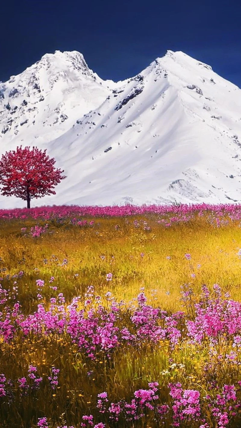 Solitary Tree in a Mountain Meadow 4K Mobile Wallpaper