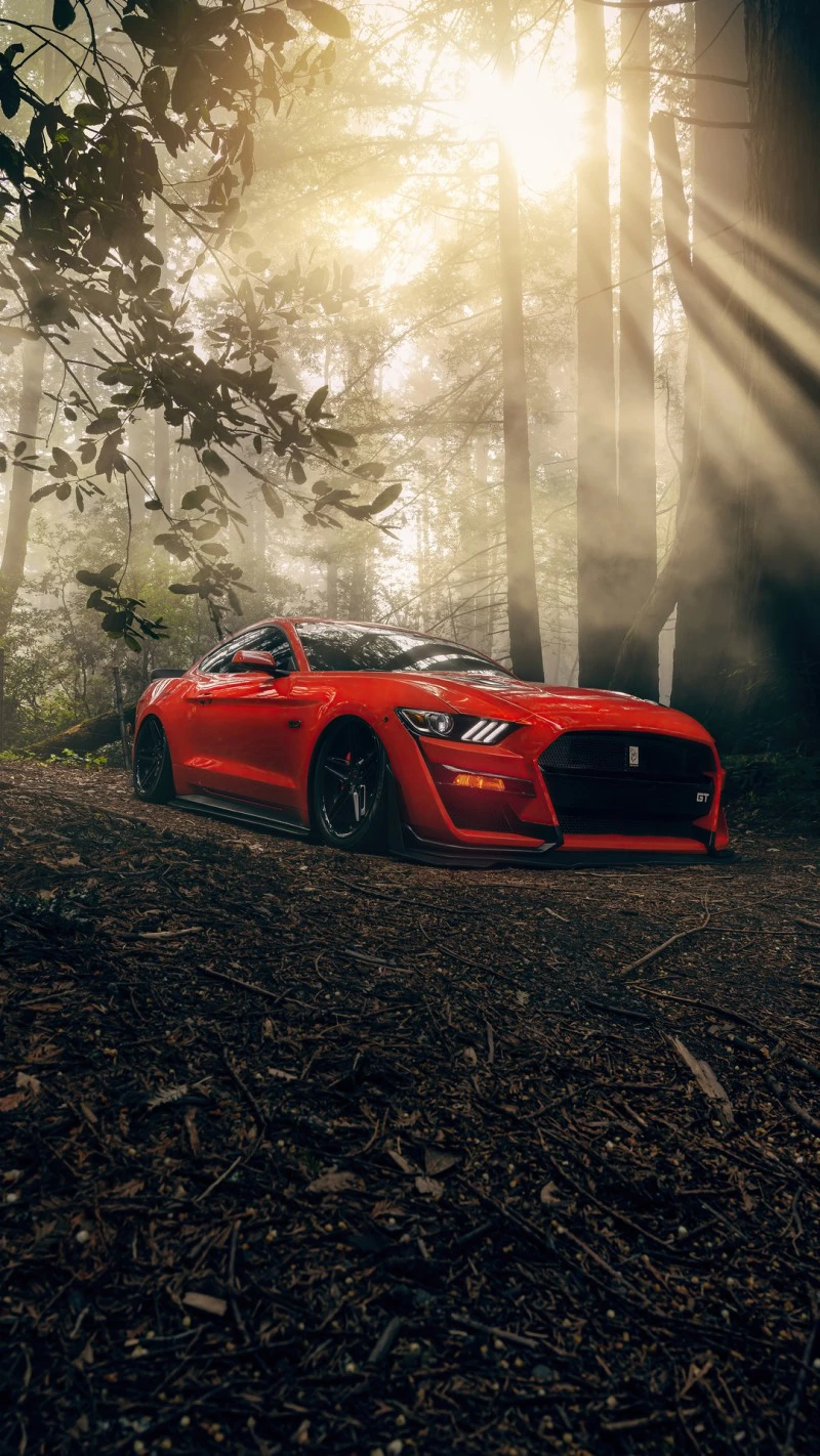Red Mustang in the Redwood Forest 4K Mobile Wallpaper