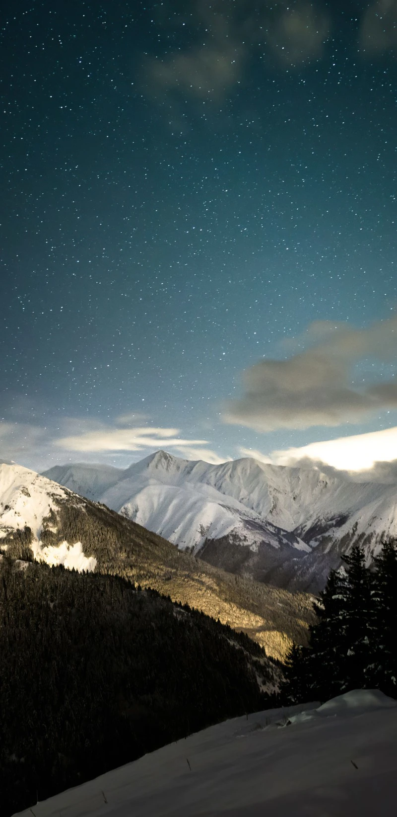Starlit Winter Wonderland 4K Mobile Wallpaper