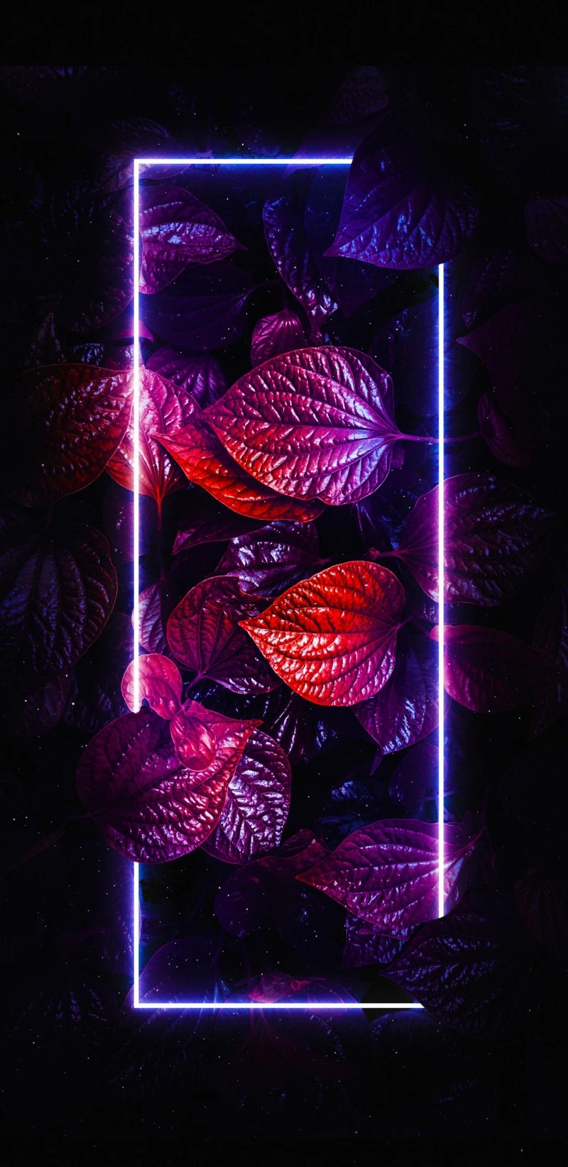 Neon Leaves Frame 4K Mobile Wallpaper