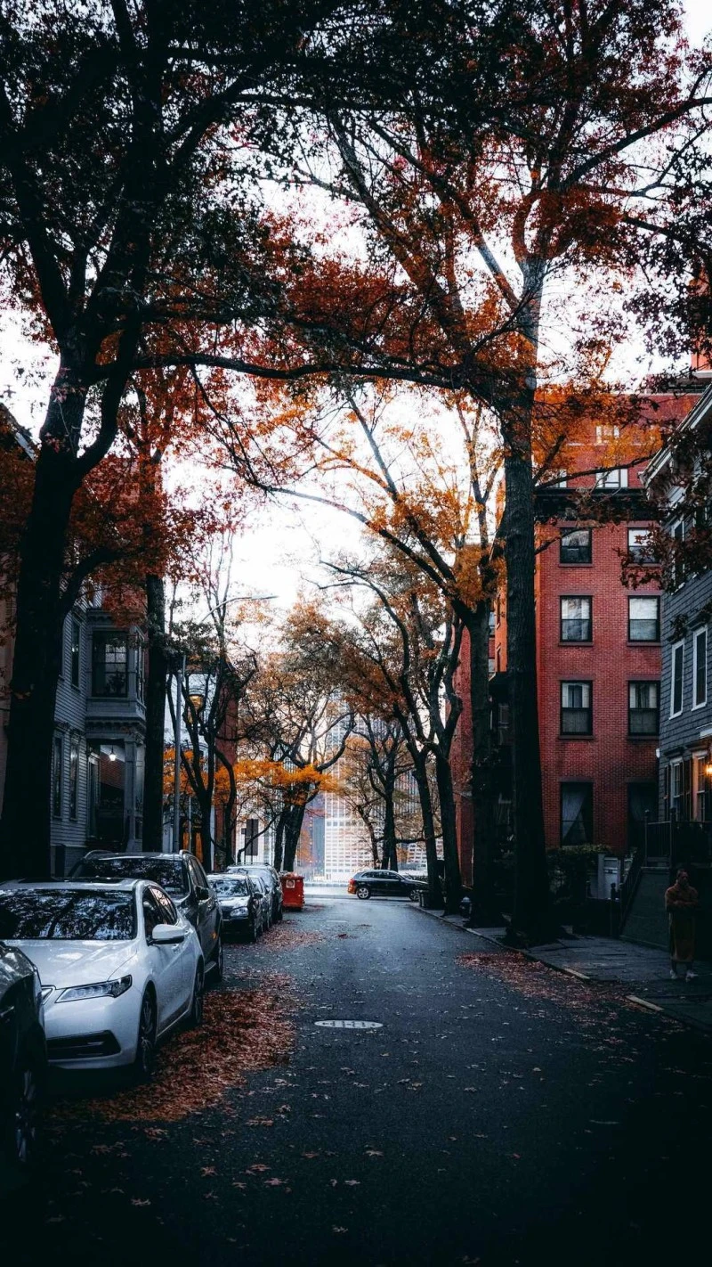 Autumn in Boston 4K Mobile Wallpaper