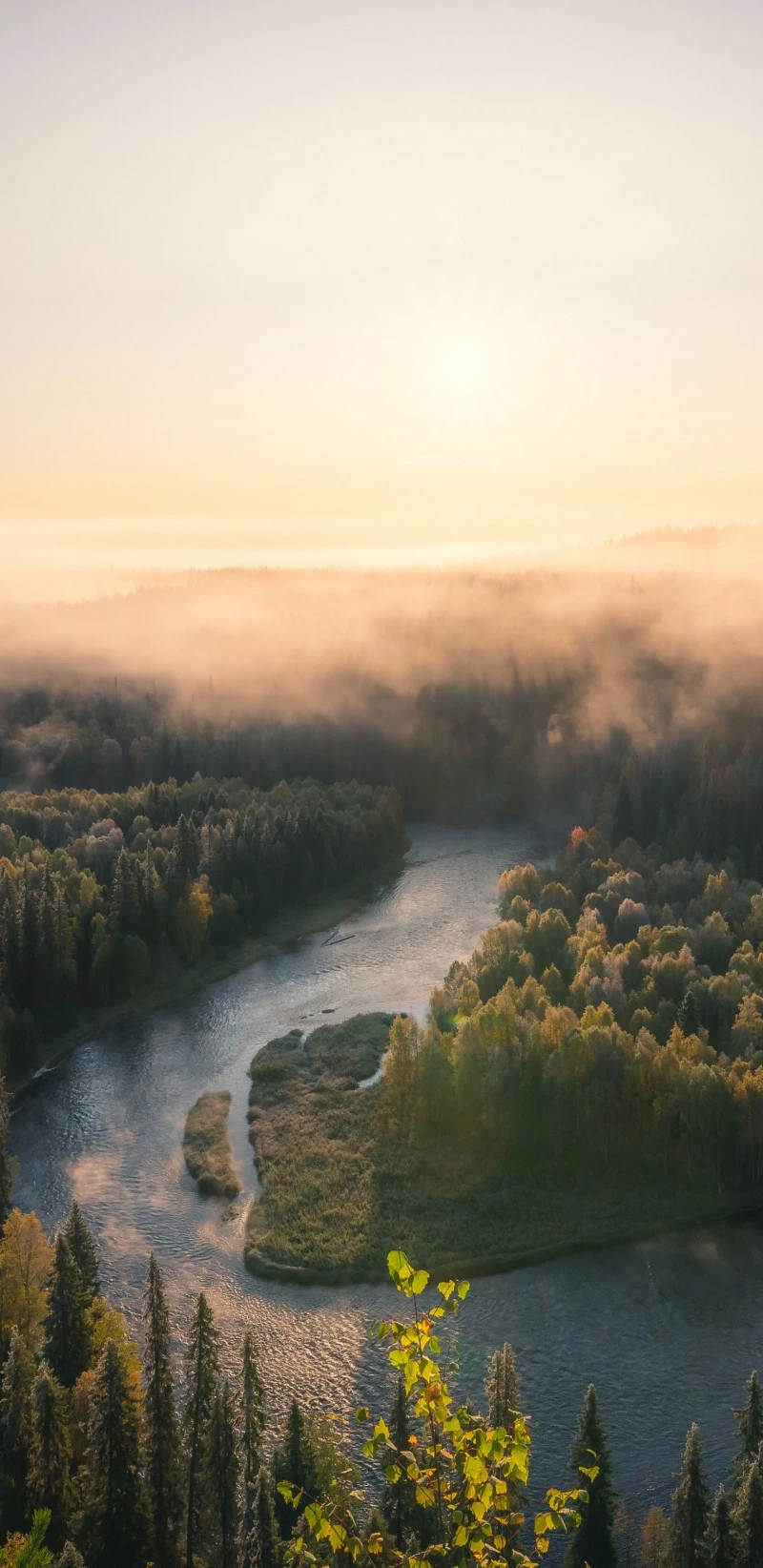 Misty River at Sunrise 4K Mobile Wallpaper