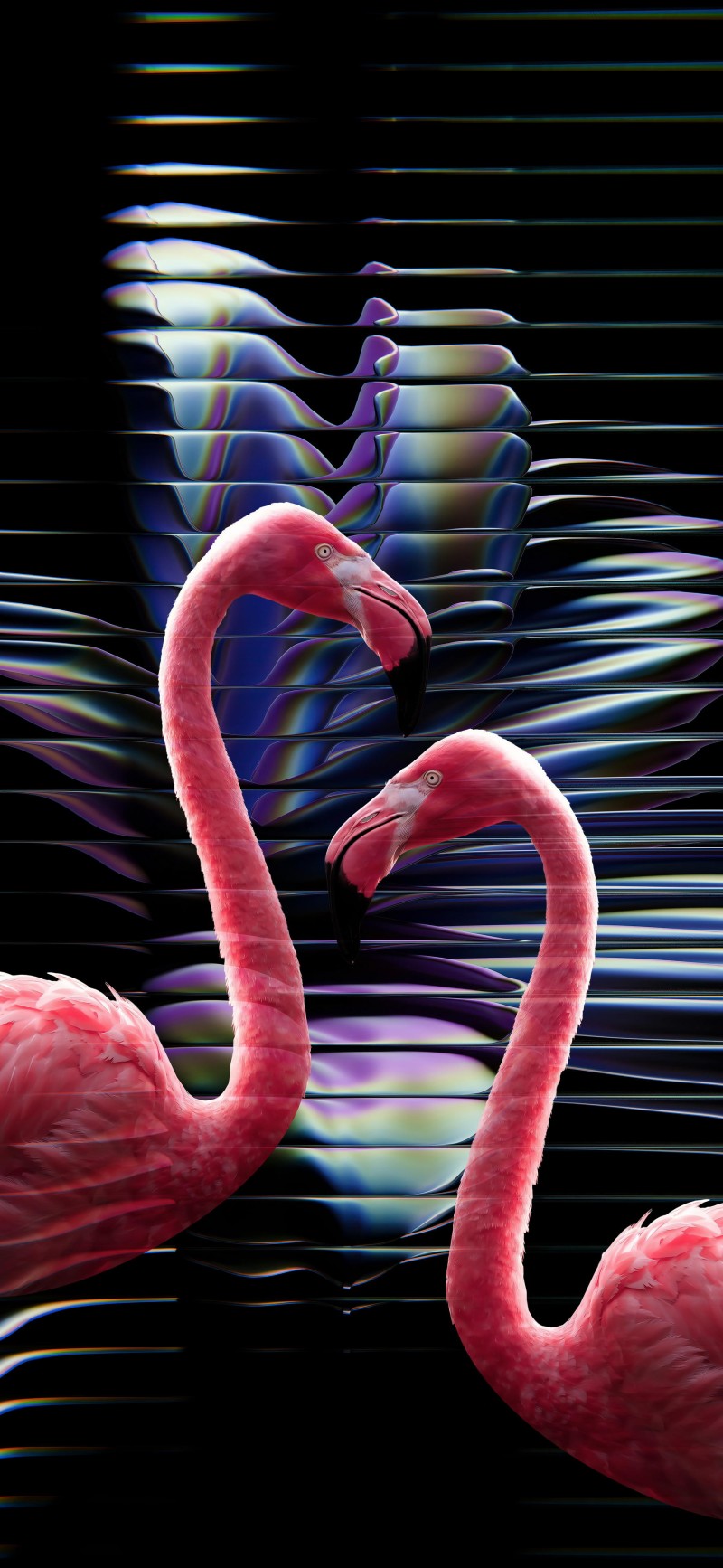 Romantic Pink Flamingos Standing Together in Glitch Art 4K Eye Wallpaper