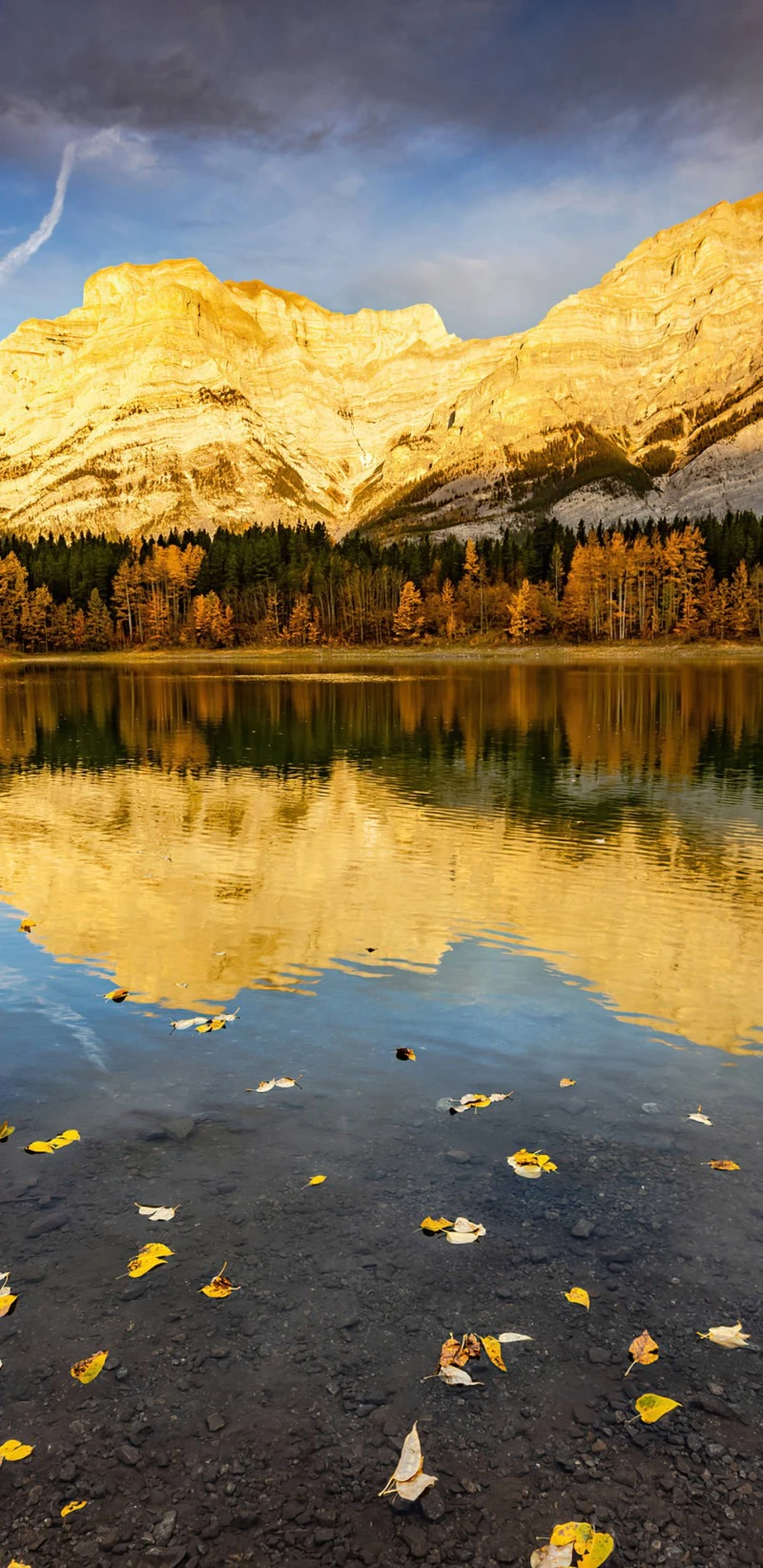 Golden Autumn Reflection 4K Mobile Wallpaper